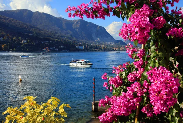 Vista Panoramica Sul Lago Maggiore Italia Europa — Foto Stock