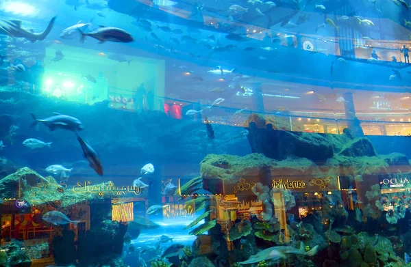 Acuario Dubai Mall Famoso Monumento Los Emiratos Árabes Unidos — Foto de Stock