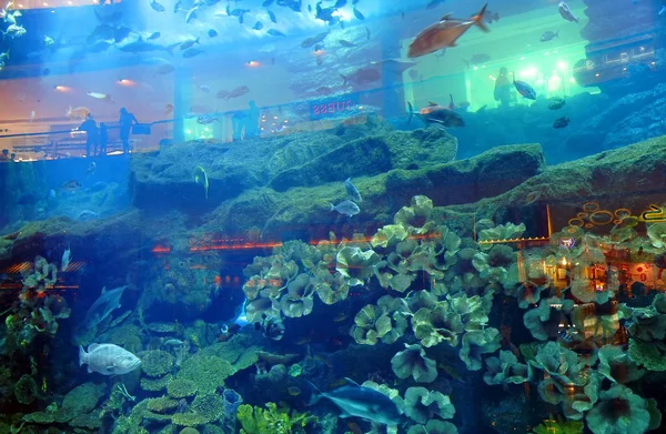 Acuario Dubai Mall Famoso Monumento Los Emiratos Árabes Unidos — Foto de Stock