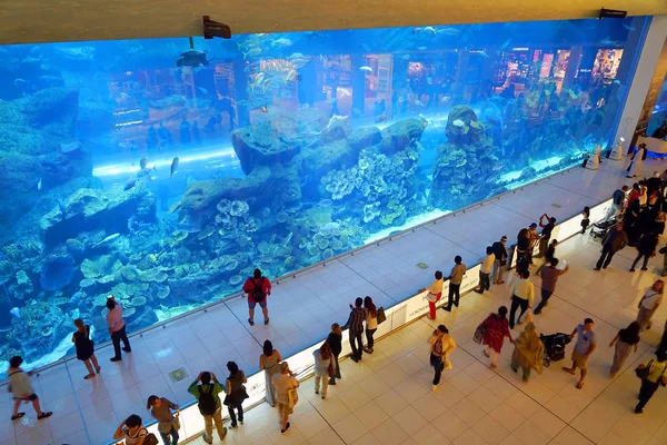 Aquarium Dubai Mall Célèbre Monument Des Emirats Arabes Unis — Photo