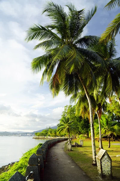 Parc Naturel Langkawi Malaisie Asie — Photo