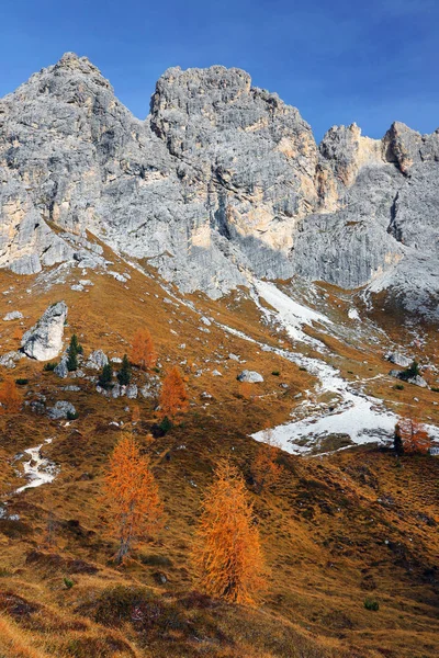 Podzimní Barvy Dolomitech Itálie Evropa — Stock fotografie