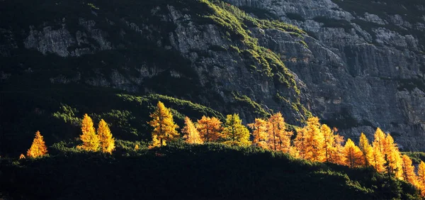 Autumn Colours Dolomites Italy Europe — Stock Photo, Image