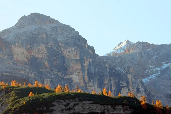 Las Modrzewiowy Jesienią Dolomity Włochy — Zdjęcie stockowe