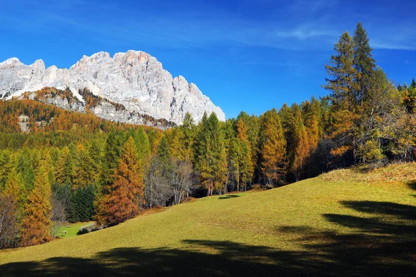 意大利 欧洲白云石的秋天色彩 — 图库照片