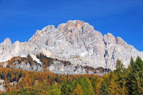 Podzimní Barvy Dolomitech Itálie Evropa — Stock fotografie