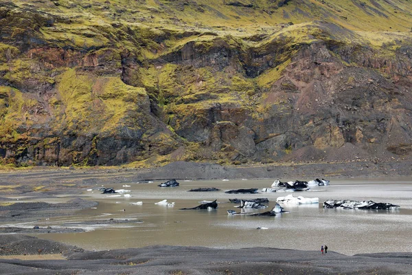 Льодовиковий Ландшафт Svinafellsjokull Природному Парку Скафтафелл Ісландія Європа — стокове фото