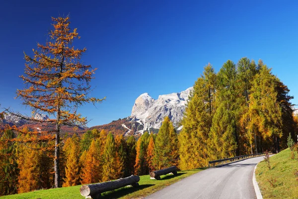 Tofana Rozes 3225M Los Dolomitas Italia Europa —  Fotos de Stock