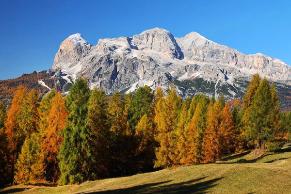 Tofana Rozes 3225M Los Dolomitas Italia Europa — Foto de Stock