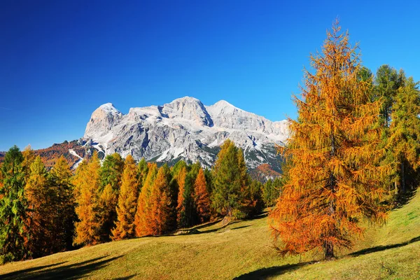Tofana Rozes 3225M Den Dolomiten Italien Europa — Stockfoto