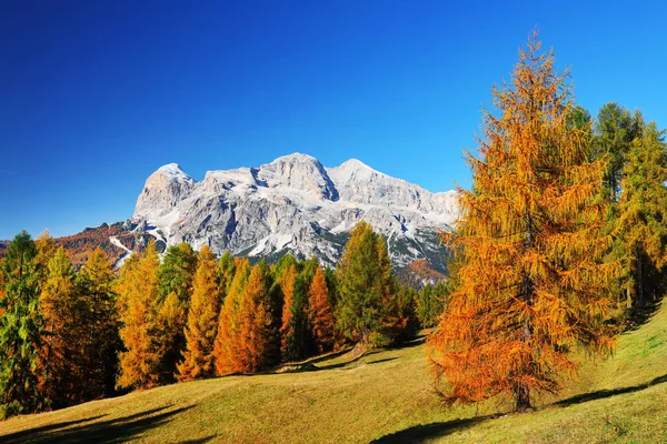 Tofana Rozes 3225M Dans Les Dolomites Italie Europe — Photo