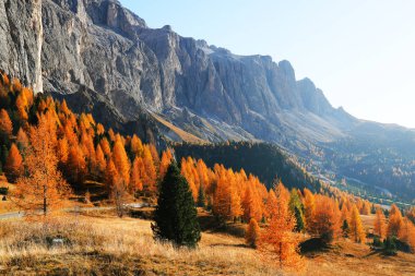 Passo Gardena 'da sonbahar manzarası, Güney Tyrol, Dolomitler, İtalya
