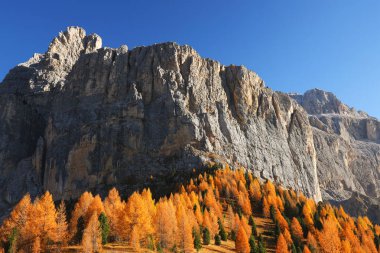 Passo Gardena 'da sonbahar manzarası, Güney Tyrol, Dolomitler, İtalya