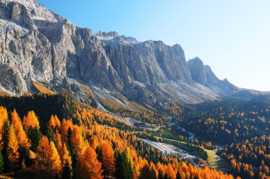 Autumn landscape in Passo Gardena, South Tyrol, Dolomites, Italy clipart
