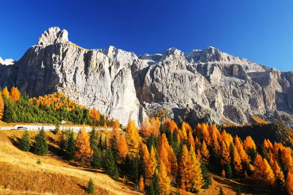 Höstlandskap Passo Gardena Sydtyrolen Dolomiter Italien — Stockfoto