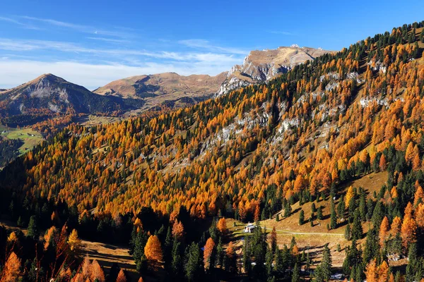 Paisagem Outono Passo Gardena Tirol Sul Dolomites Italia — Fotografia de Stock