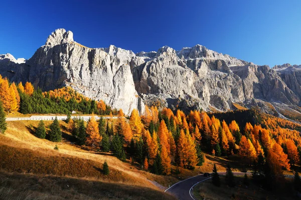 Paisaje Otoñal Passo Gardena Tirol Del Sur Dolomitas Italia — Foto de Stock