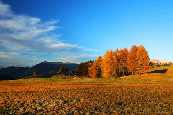 Autumn Landscape Seiser Alm Largest High Altitude Alpine Meadow Europe — Stock Photo, Image