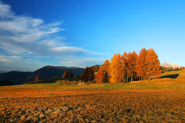 Paysage Automne Seiser Alm Grande Prairie Alpine Haute Altitude Europe — Photo