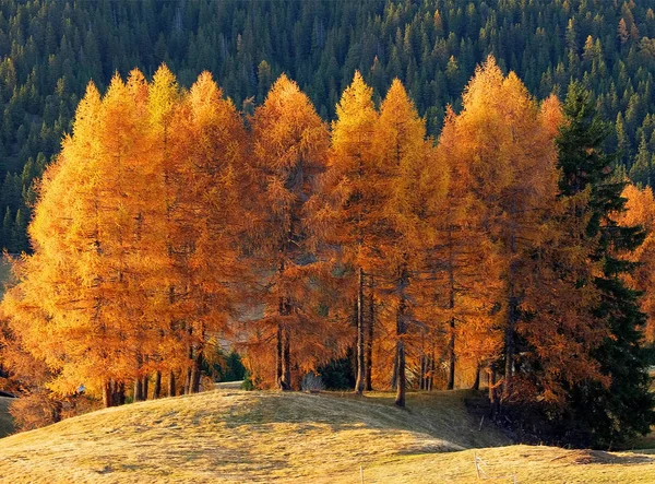 Herbstlandschaft Der Seiser Alm Der Größten Hochalm Europas Dolomiten Italien — Stockfoto