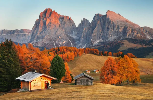 Paysage Automne Seiser Alm Grande Prairie Alpine Haute Altitude Europe — Photo