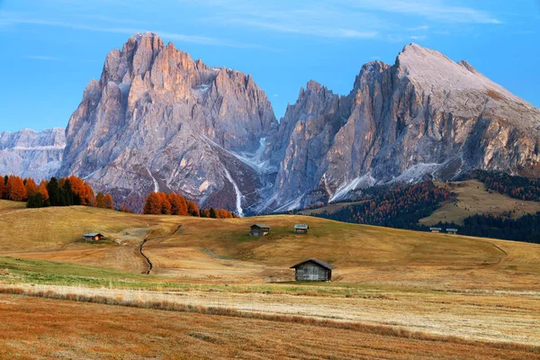 Paysage Automne Seiser Alm Grande Prairie Alpine Haute Altitude Europe — Photo