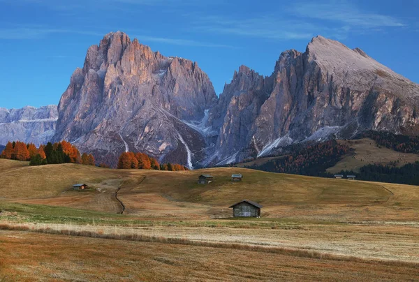 Paysage Automne Seiser Alm Grande Prairie Alpine Haute Altitude Europe — Photo