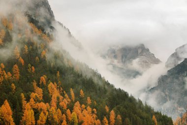Dolomitler, İtalya ve Avrupa 'daki Alp sonbahar manzarası