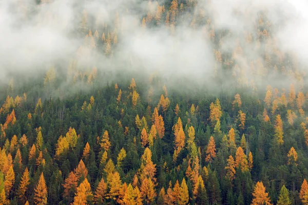 Paysage Automne Alpin Dans Les Dolomites Italie Europe — Photo