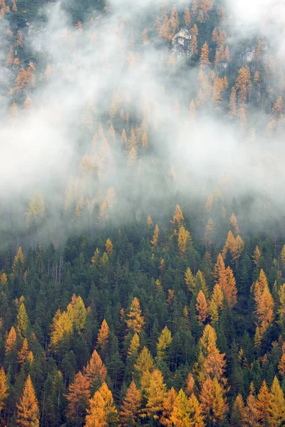 Alpine Autumn Landscape Dolomites Italy Europe — Stock Photo, Image