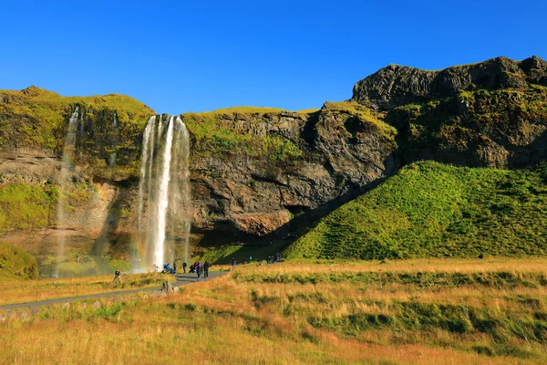 Seljalandfoss Waterfall Sunny Autumn Day Iceland Europe Famous Tourist Attraction — Stockfoto