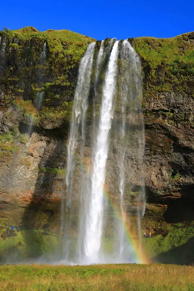 Seljalandfoss Waterfall Sunny Autumn Day Iceland Europe Famous Tourist Attraction — Stockfoto