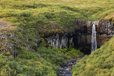 Svartifoss waterfall in Skaftafell Natural Park, Iceland, Europe