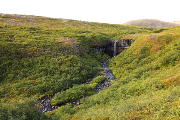 Svartifoss Waterfall Skaftafell Natural Park Iceland Europe — 스톡 사진