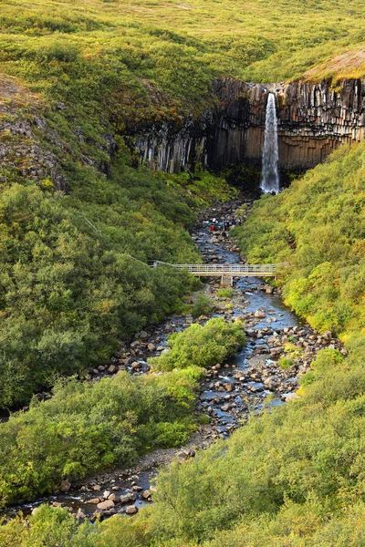 Svartifoss Wasserfall Skaftafell Naturpark Island Europa Stockbild