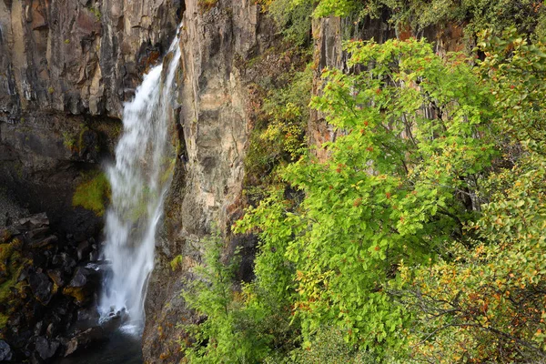 Hundafoss Wasserfall Skaftafell Naturpark Island Europa Stockbild