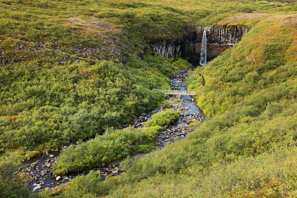 Cascada Svartifoss Parque Natural Skaftafell Islandia Europa Imágenes de stock libres de derechos
