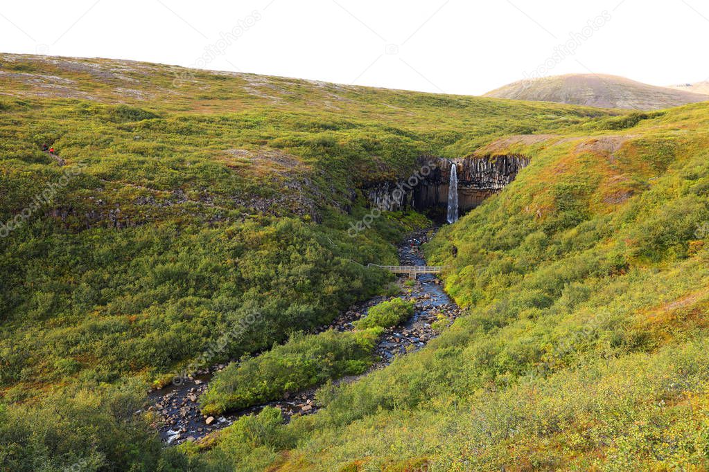 Svartifoss waterfall in Skaftafell Natural Park, Iceland, Europe