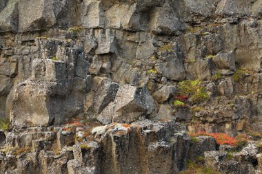 Pingvellir Ulusal Parkı, İzlanda, Avrupa sonbahar manzarası