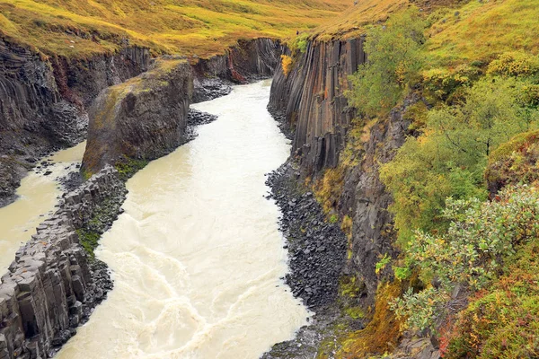 아이슬란드의 현무암 협곡이죠 아이슬란드에서 수있는 이로운 — 스톡 사진