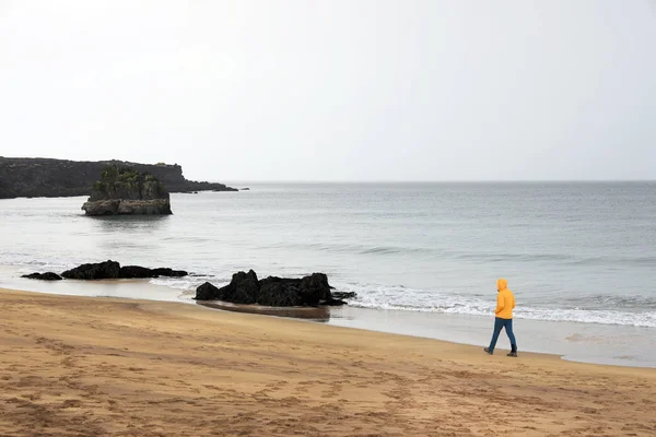 Ijslands Landschap Het Strand Van Skardsvik Ijsland Europa — Stockfoto