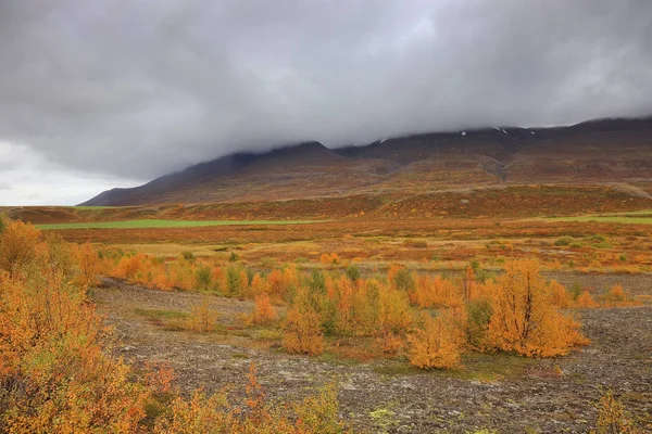 Autumn Landscape Iceland Europe — ストック写真