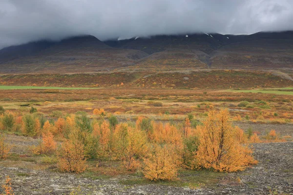 Autumn Landscape Iceland Europe — Stock Photo, Image