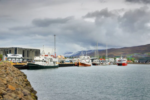Crucero Puerto Akureyri Eyjafjordur Islandia Europa — Foto de Stock