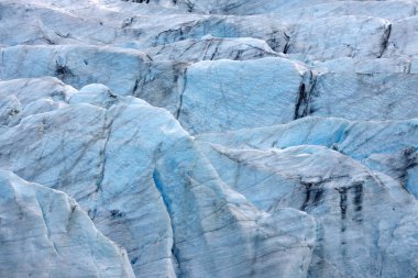 Svinafellsjokull Buzul Parkı Skaftafell Doğal Parkı, İzlanda, Avrupa