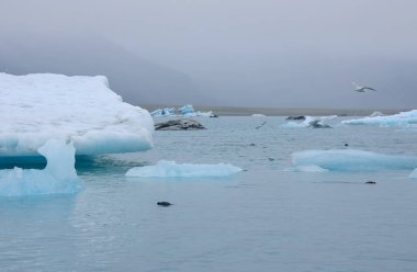 İzlanda, Avrupa 'da Jokulsarlon Gölü