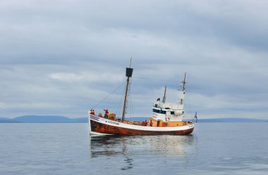 Kuzey İzlanda, Avrupa 'da Husavik' te turistlerin izlediği turistik gemiler