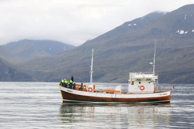 Kuzey İzlanda, Avrupa 'da Husavik' te turistlerin izlediği turistik gemiler