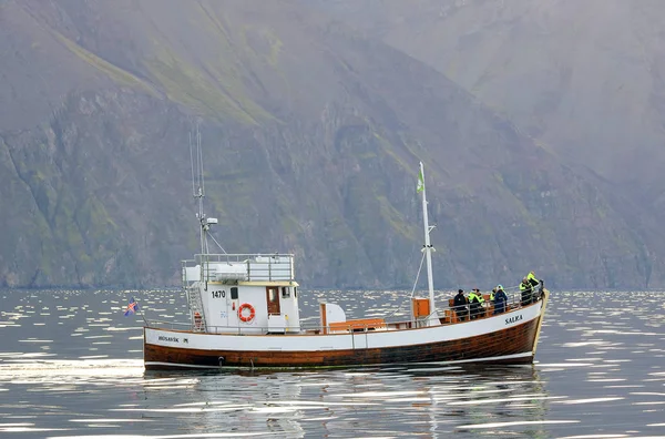 Touristenschiffe Mit Touristen Bei Der Walbeobachtung Husavik Nordisland Europa — Stockfoto