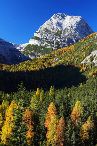 Podzimní Alpské Světlo Dolomitech Itálie Evropa — Stock fotografie